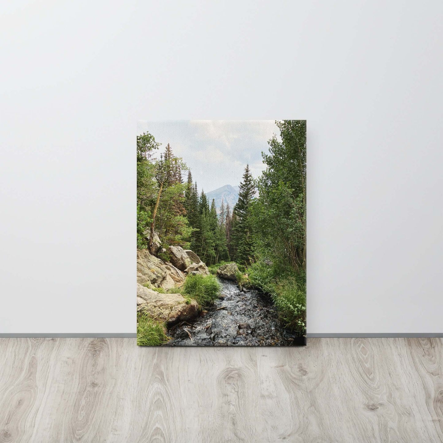 The River Canvas Print